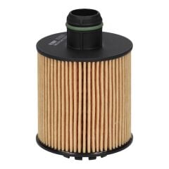 FILTRON FILTRON-OE682/6 Fiat Egea Yağ Filtresi