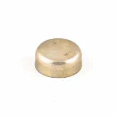 22 mm Motor Blok Su Tapası
