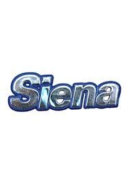Fiat Siena Arka Bagaj ( Siena ) Yazısı