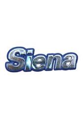 Fiat Siena Arka Bagaj ( Siena ) Yazısı